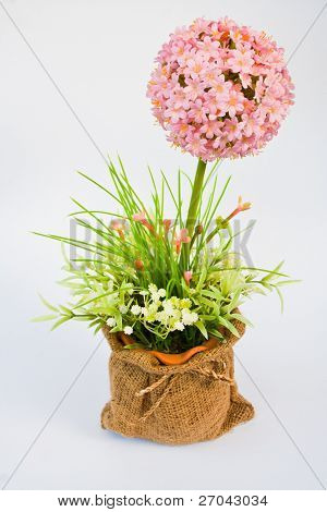 Rund blomst