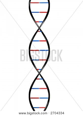 3D Dna