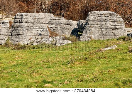 Limestone Monoliths - Unusual Karst Erosion Formations In The Regional Natural Park Of Lessinia (val