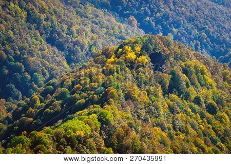 Scenic Landscape With Trees In Mountain Forest In Autumn.