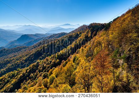 Scenic Landscape With Trees In Mountain Forest In Autumn.
