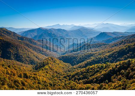 Scenic Landscape With Trees In Mountain Forest In Autumn.