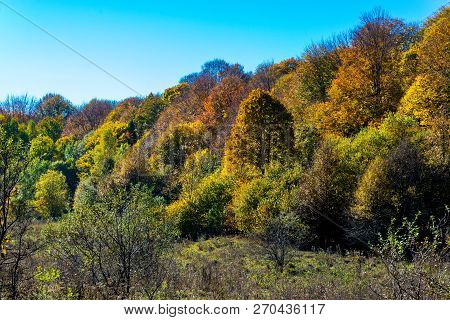 Scenic Landscape With Trees In Mountain Forest In Autumn.
