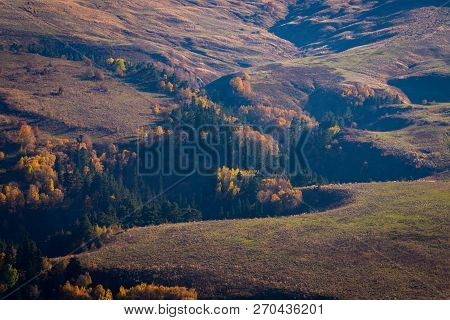 Scenic Landscape With Trees In Mountain Forest In Autumn.