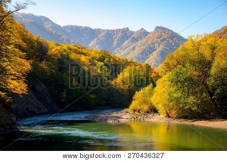 Scenic Landscape With Beautiful Mountain River. Autumn In Mountain Forest. Sunny Day.