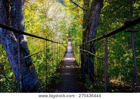 Narrow Metal Foot Bridge Across Forest In Autumn.