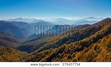Scenic Landscape With Trees In Mountain Forest In Autumn.