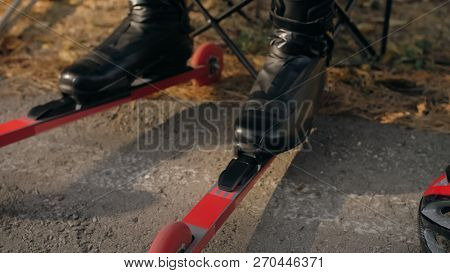 Training An Athlete On The Roller Skaters. Biathlon Ride On The Roller Skis With Ski Poles, In The H