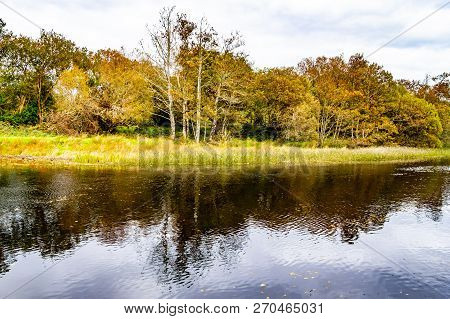 Trees And Reflection In Owenriff River