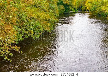 Trees And Reflection In Owenriff River