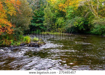 Trees And Reflection In Owenriff River