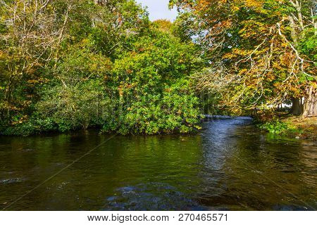 Trees And Reflection In Owenriff River