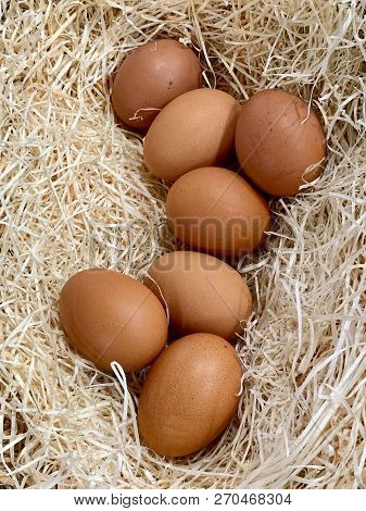 A Closeup Of Eggs Placed Over Very Light Hey Giving The Sensation Of Beeing Freshly Laid