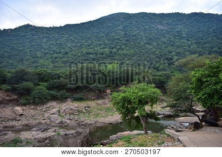 Hogenakkal Falls: A Visual Treat