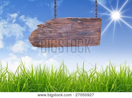 Muestra con césped y azul cielo de madera