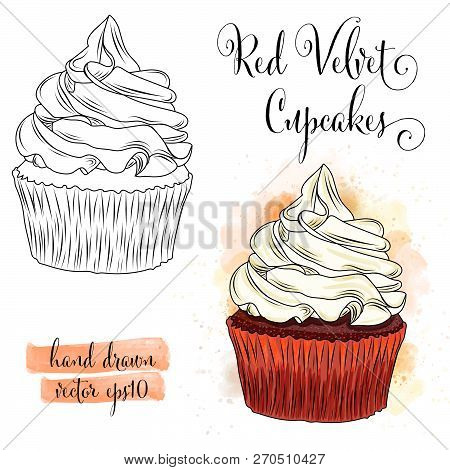 Beautiful Hand Drawn Watercolor Red Velvet Cupcakes. Vector Format