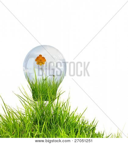 Glühbirne mit schöne Blume innerhalb