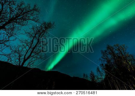 Unbelievable, In Natural Colors Aurora Borealis - The Northern Lights Above Forest ( Tree Line )