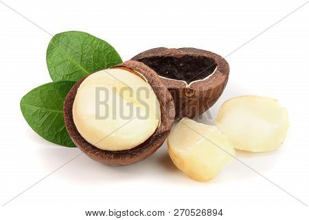 Shelled Macadamia Nuts With Leaves Isolated On White Background