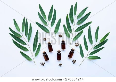 Eucalyptus Oil Bottle With  Leaves On White Background.