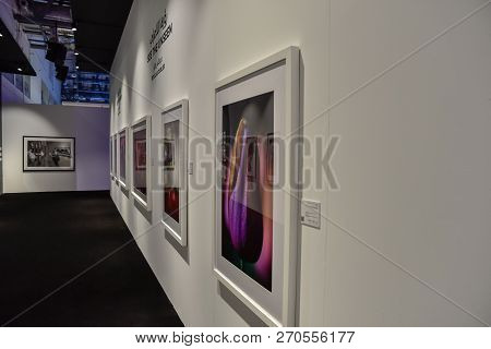 2018 Xposure International Photography Festival, Sharjah, United Arab Emirates