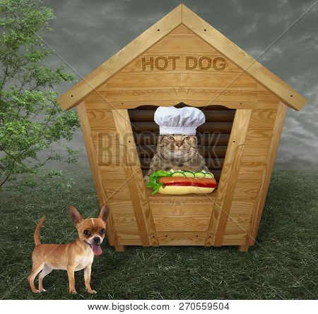 The Cat Sells Hot Dogs From A Small Wooden House. A Dog Is Next To It.