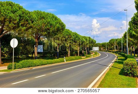 Croatia. Asphalt highway road among conifer trees and green bushes, shorn grass at lawns. Sunny day with blue sky.