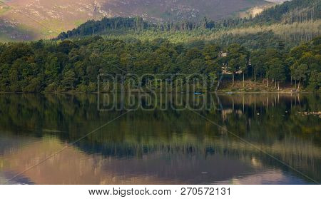 Derwent Water Tree Reflections, Lake District, Cumbria, England