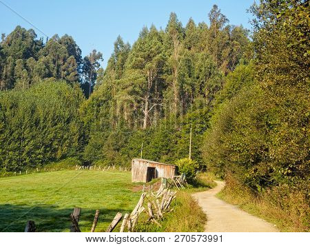 Camino Track Around A Lush Green Cattle Pen - Boente, Galicia, Spain