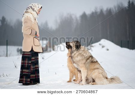 Woman Trains Caucasian Shepherd And Yard Dog On A Snowy Ground In The Park