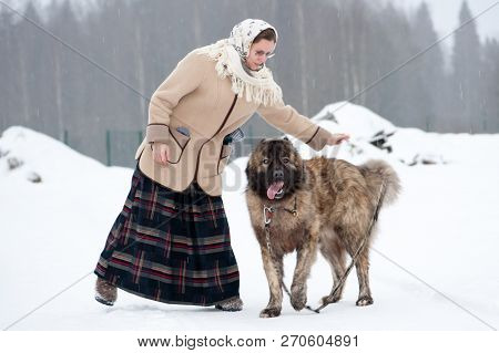 The Girl Trains Dogs On A Snowy Ground In The Middle Of The Forest In Winter. The Girl In A Coat, A 