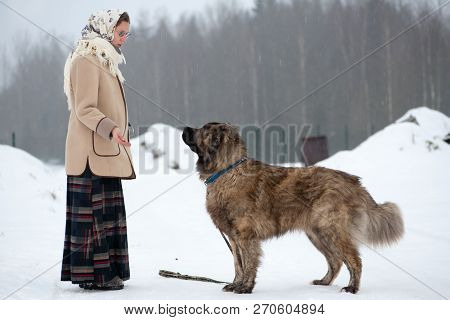 Woman Trains Caucasian Shepherd And Yard Dog On A Snowy Ground In The Park