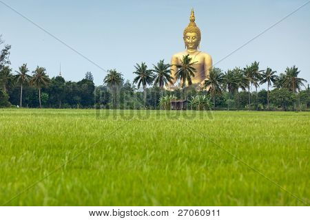 riso muang campo e wat buddha gigante nella provincia di angthong, Thailandia