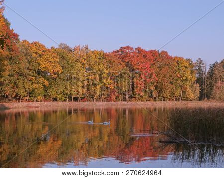 Autumn At The Lake.
Water Reservoir, Reservoir. A Calm Windless Day, A Smooth Surface Of Water. Shor