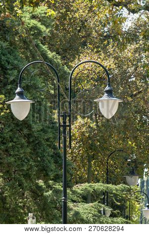 Vintage Lamp - With Green Trees Surrounding The Lamp.