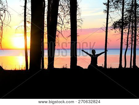 Happy Kid Silhouette With Hands Up In The Forest At The Sunset