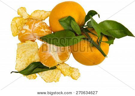 Mandarin Orange, Fruit Of The Rutaceae Family Native To Asia And Cultivated In Four Continents