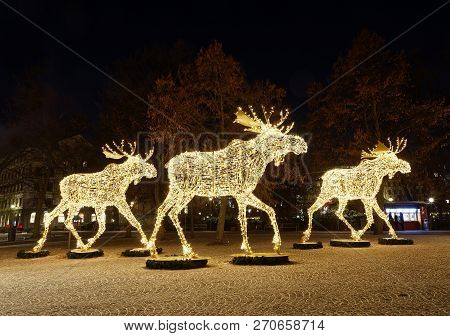 Gigantic Elk Or Moose Christmas Decoration Made Of Led Light At Nybrokajen, Stockholm, Sweden
