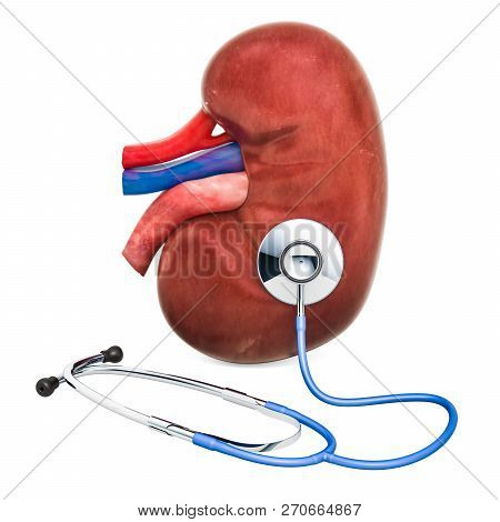 Human Kidney With Stethoscope. Diagnosis And Treatment Of Kidneys Concept, 3d Rendering
