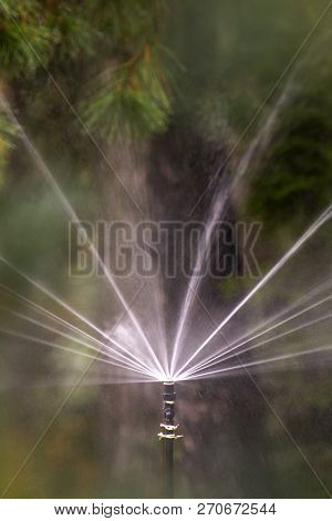 Automatic Sprinkler System Watering The Lawn On A Background Of Green Grass