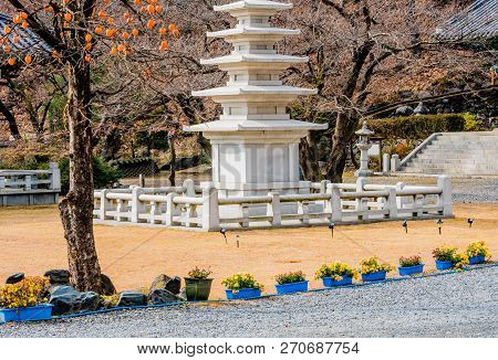 Five Story Pagoda In Concrete Enclosure In Front Of Barren Tree With Persimmons Hanging From Leafles