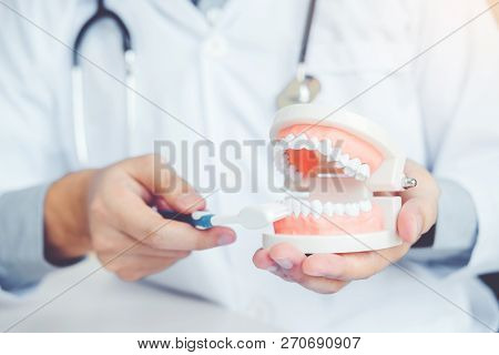 Dentist Learning How To Brush Teeth Concept