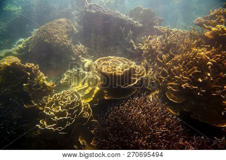 Ningaloo Reef - Coral Bay - Western Australia