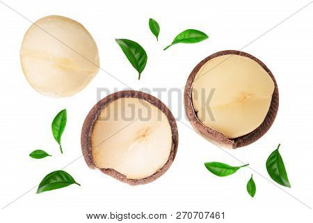 Shelled Macadamia Nuts Isolated On White Background. Top View. Flat Lay Pattern