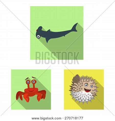 Vector Illustration Of Sea And Animal Sign. Collection Of Sea And Marine Vector Icon For Stock.