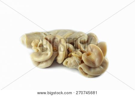Chitterlings Pork Entrails / Intestines Part Of Pork Isolated On White Background