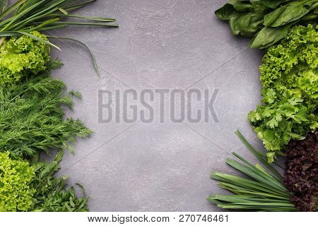 Various Greenery On Gray Concrete Background, Top View, Copy Space