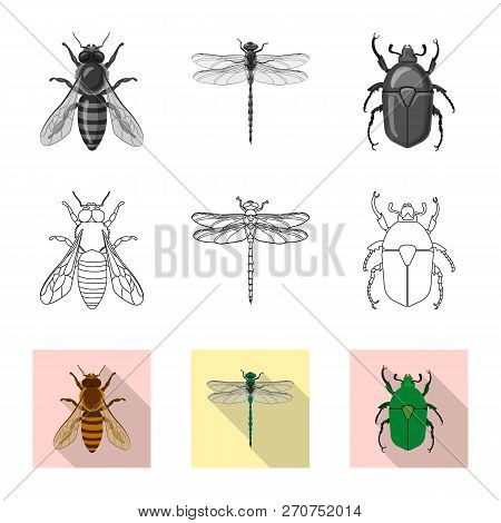 Isolated Object Of Insect And Fly Icon. Set Of Insect And Element Stock Symbol For Web.