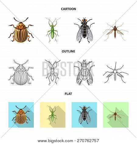 Vector Illustration Of Insect And Fly Icon. Set Of Insect And Element Vector Icon For Stock.