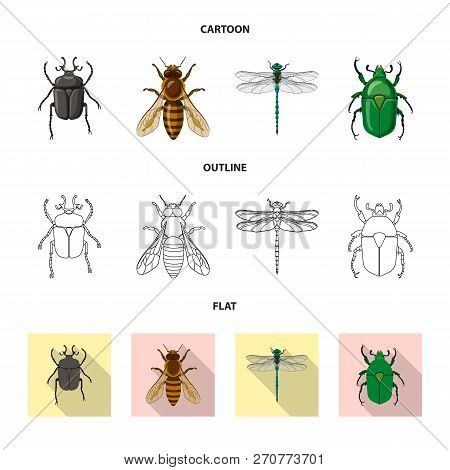 Vector Illustration Of Insect And Fly Sign. Collection Of Insect And Element Stock Vector Illustrati